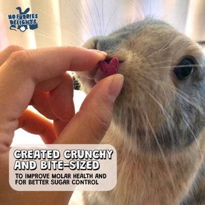 Berry-Licious Variety Pack | Bite-Sized Small Animal Treats