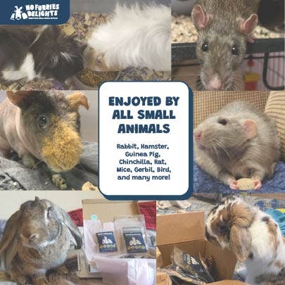 Berry-Licious Variety Pack | Bite-Sized Small Animal Treats