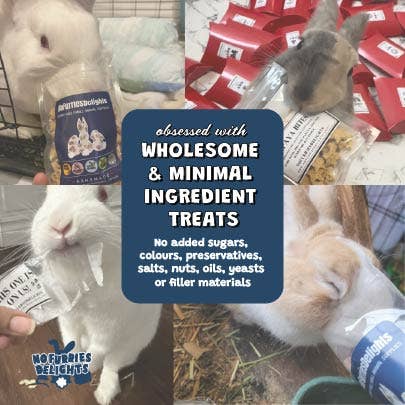 Berry-Licious Variety Pack | Bite-Sized Small Animal Treats