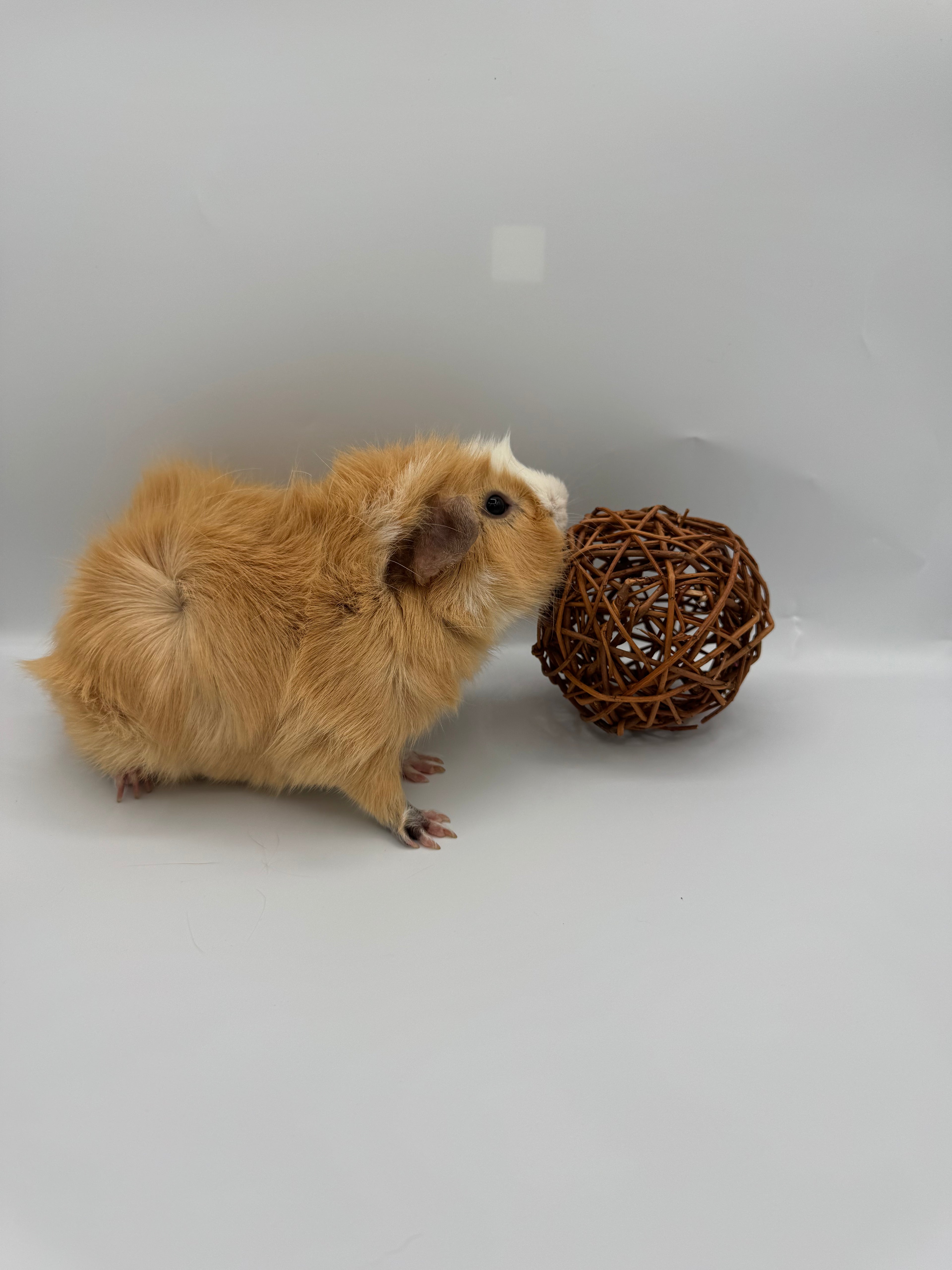 Willow ball
