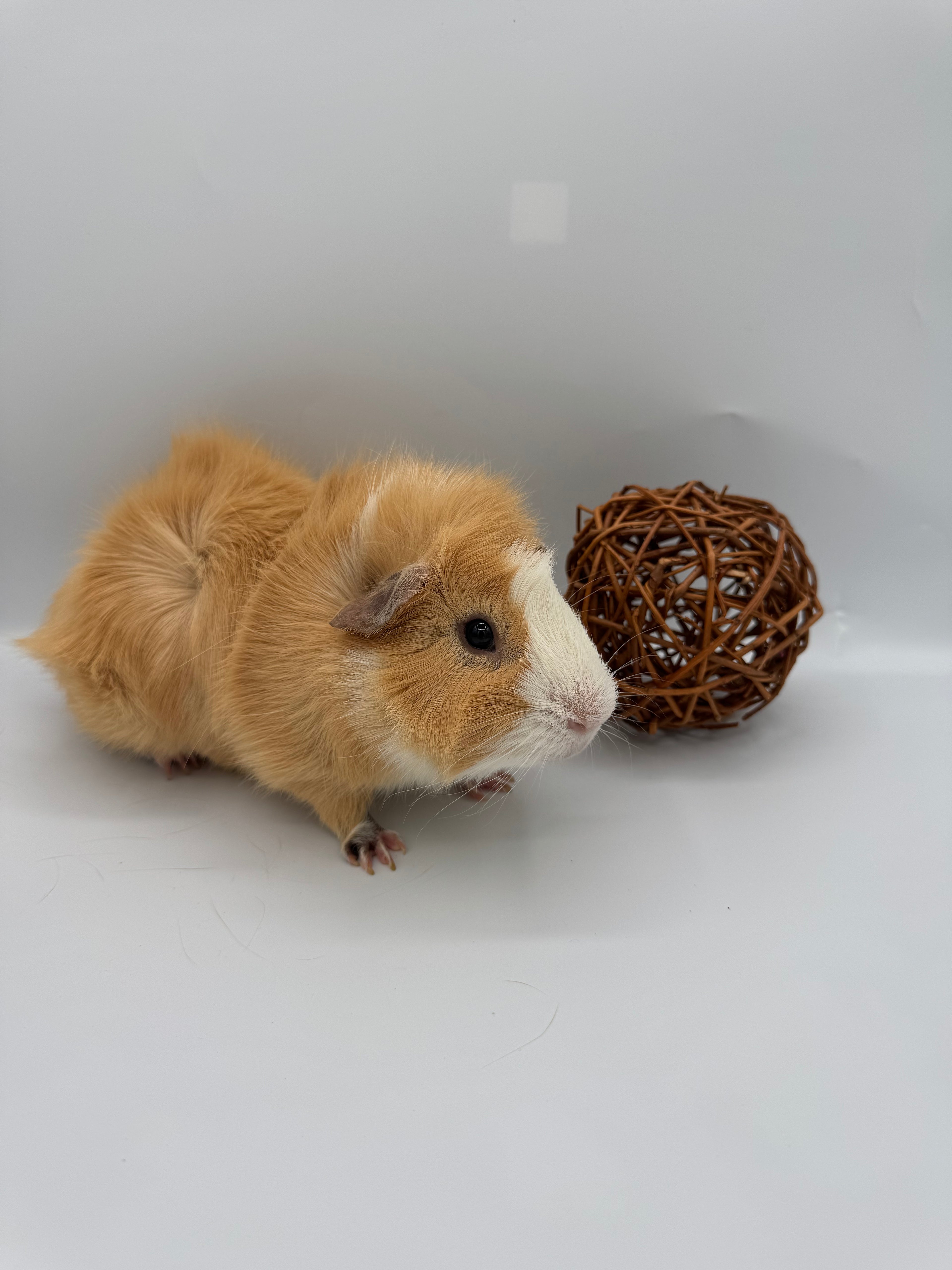 Willow ball