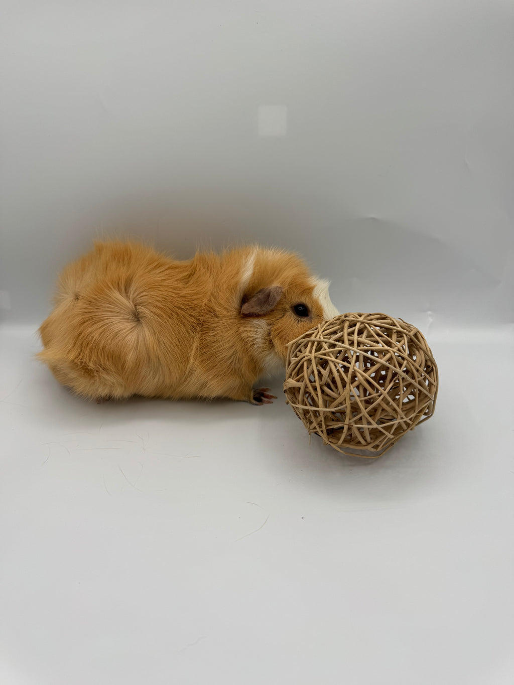 Vine ball