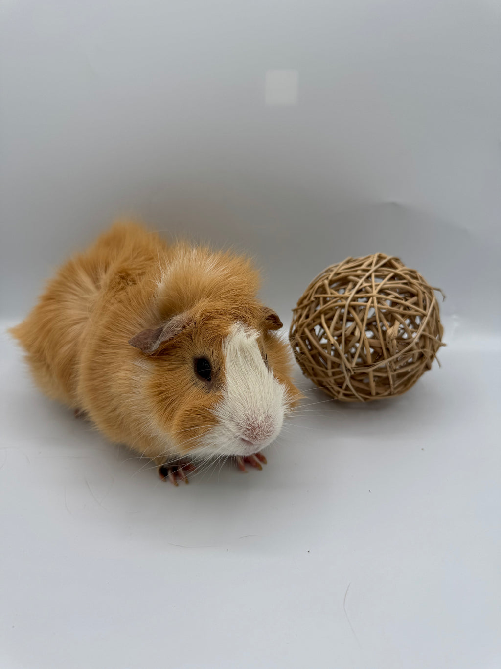 Vine ball