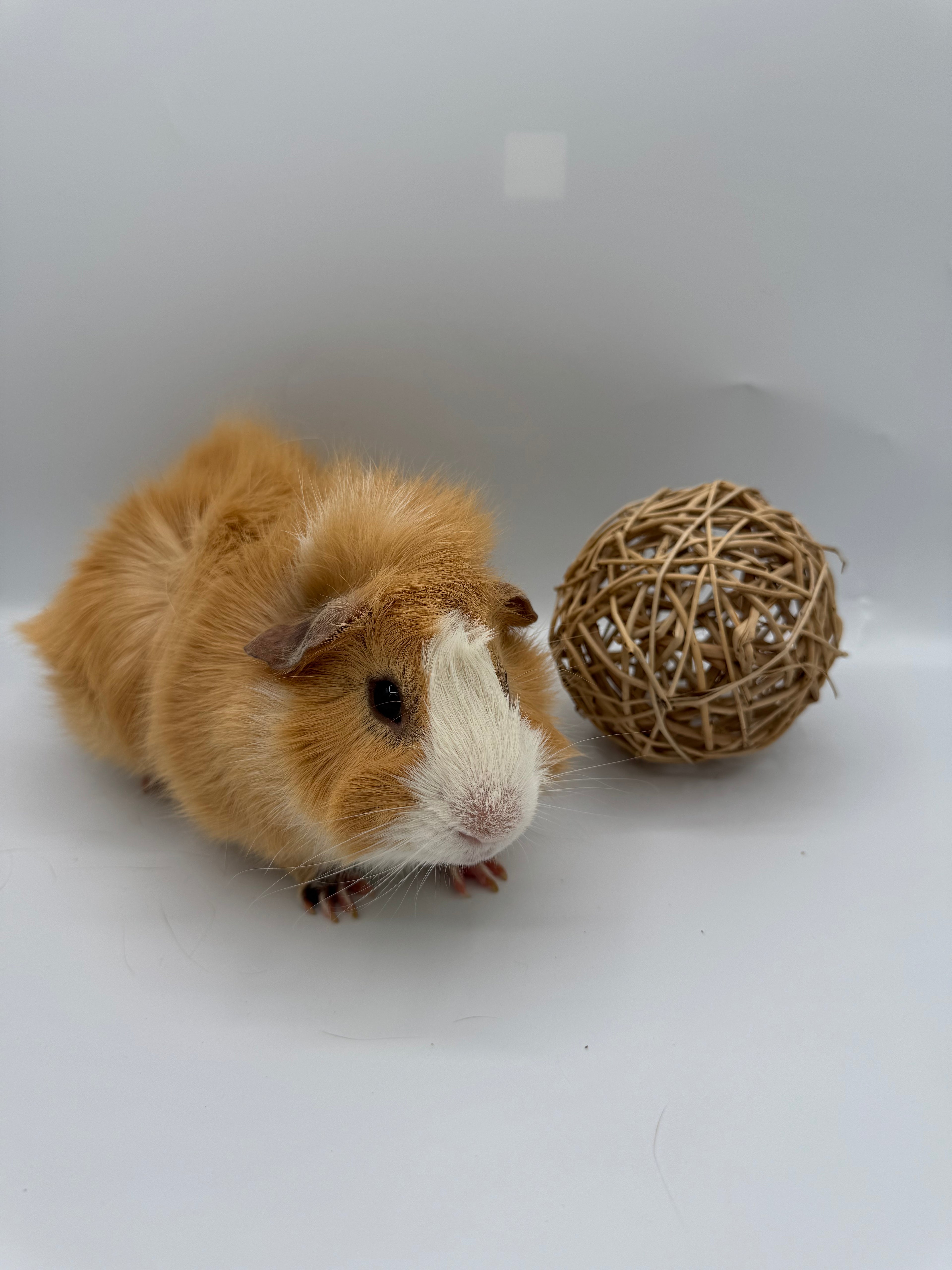Vine ball