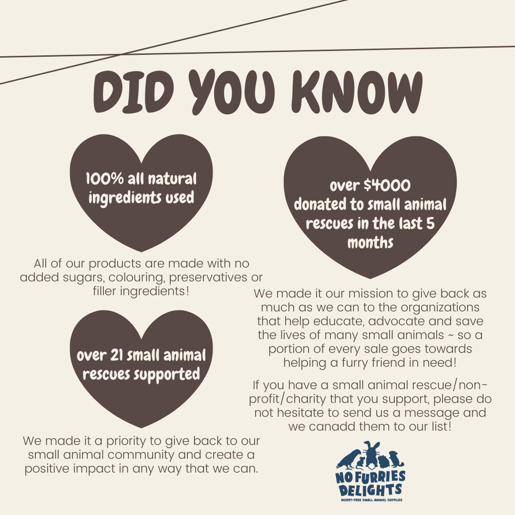 Banana Apple Cilantro Flavoured Loofah (3 Pack)