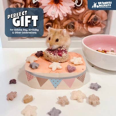 Berry-Licious Variety Pack | Bite-Sized Small Animal Treats