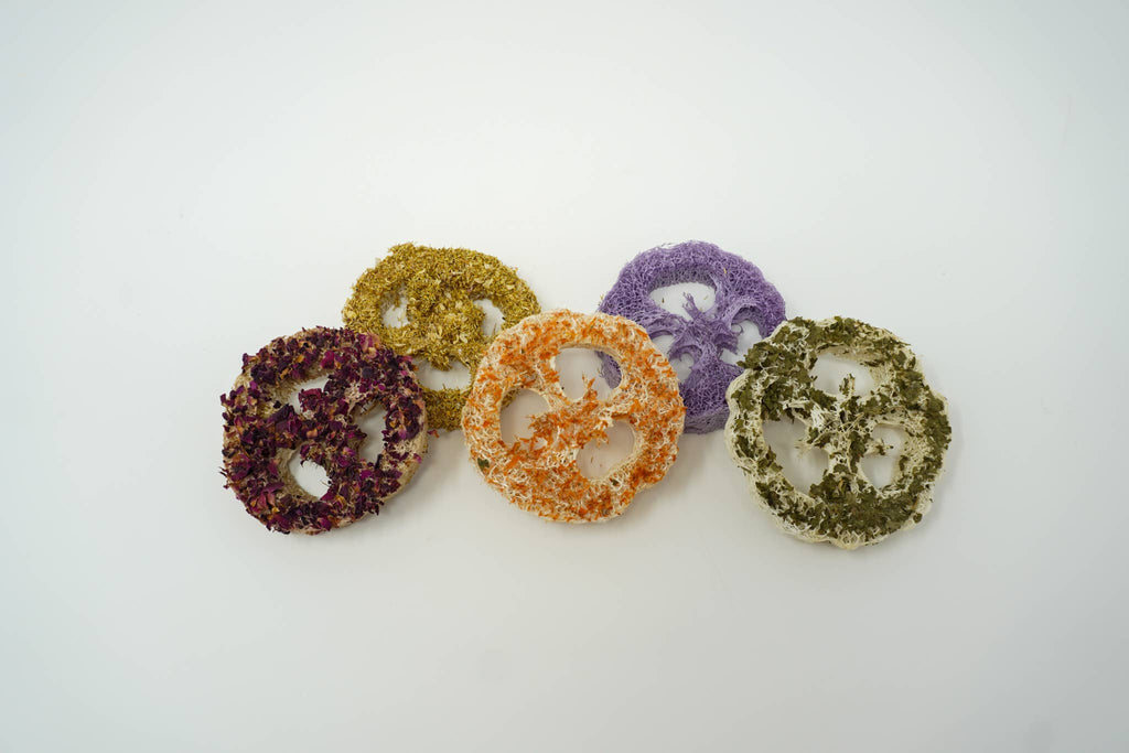 Flavoured Loofah Variety Pack (5 Pack)